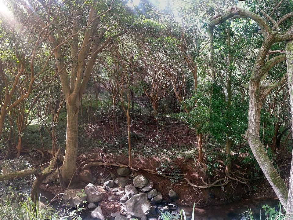 2nd image of 95-201 Waikalani Dr