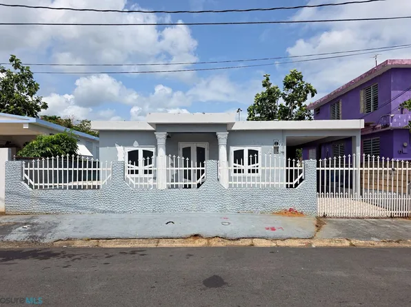133 Bo Higuillar Commons San Carlos Calle E, Dorado, PR 00646