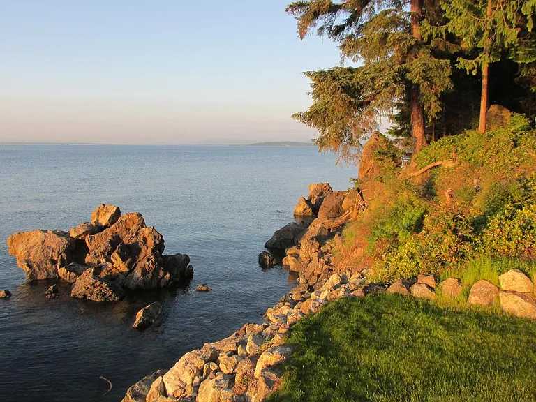 VIEW ON LAWN AT EDGE OF WATER