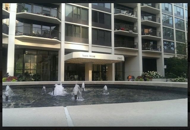 1st image of 1560 N Sandburg Ter APT 2008J
