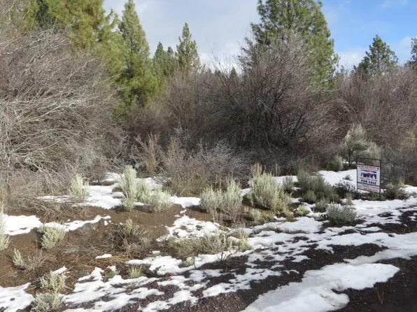 B45-L10 Treeland Rd, Chiloquin, OR 97624