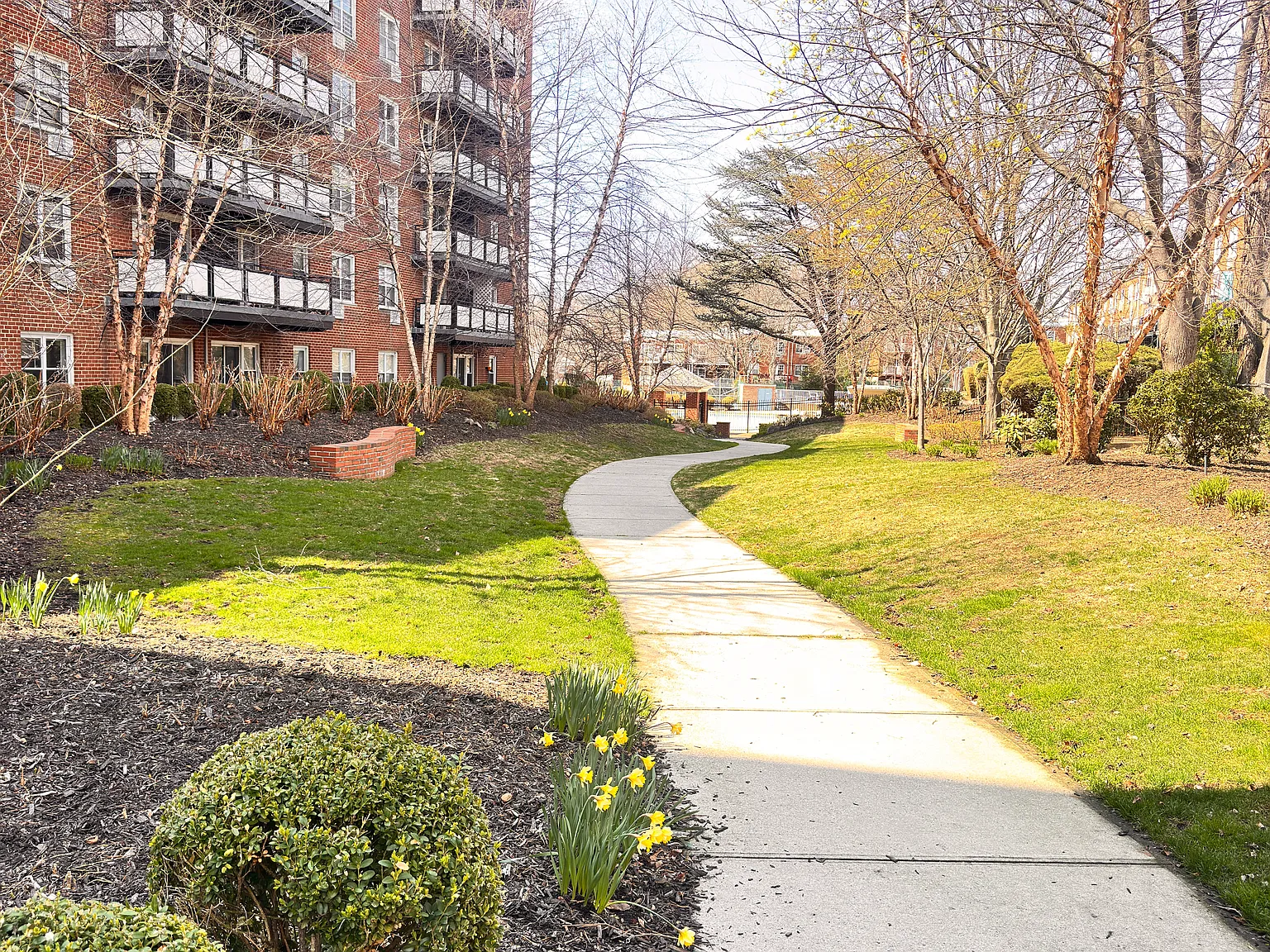 2 bed, 900 sqft, $2,950 — Photo 2