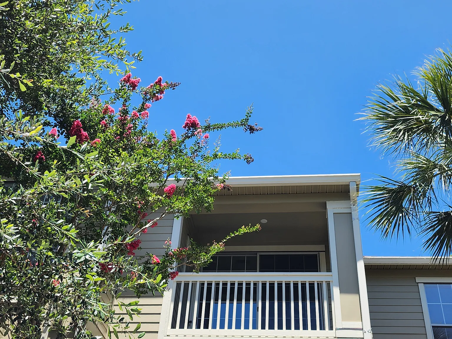 2 bed, 1049 sqft, $1,990 — Photo 1