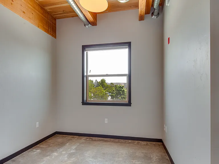 Newport Terrace — Photo 9