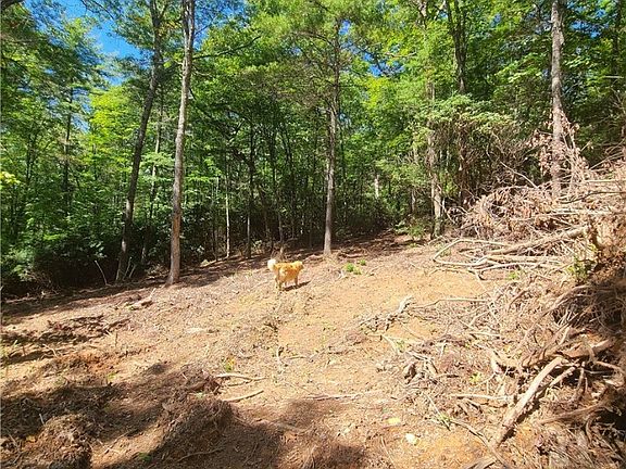 4th image of tbd Eagle Drive