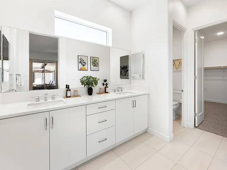 Master Suite Bathroom