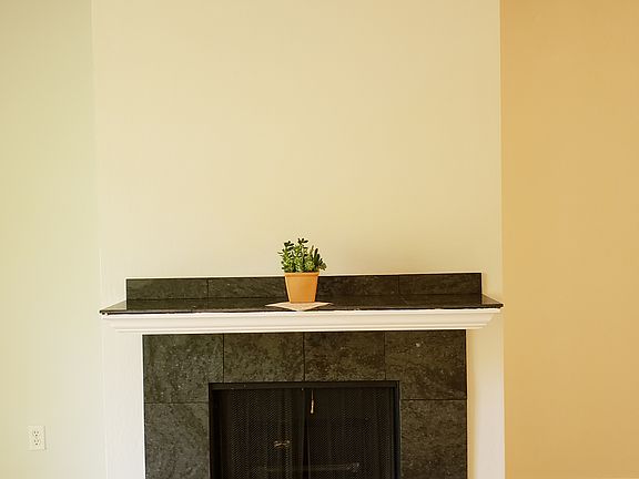 Gas fireplace