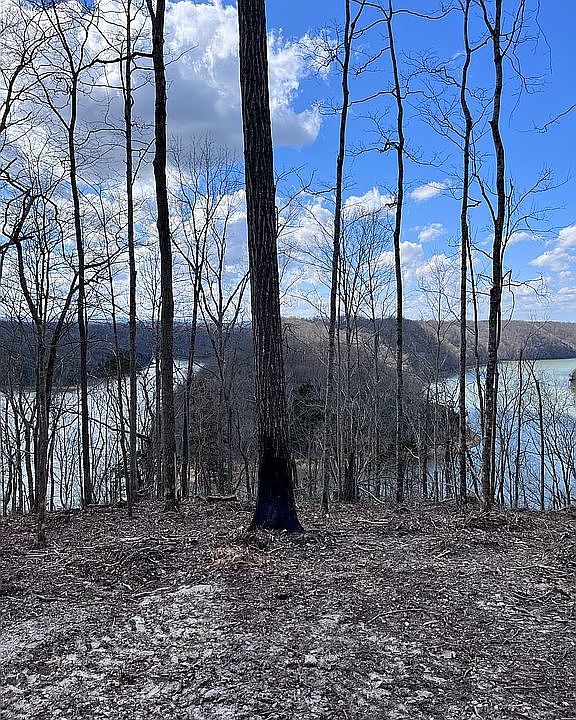 1st image of Rindler Rdg