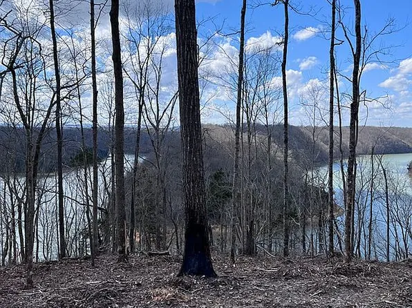 Rindler Rdg, Byrdstown, TN 38549