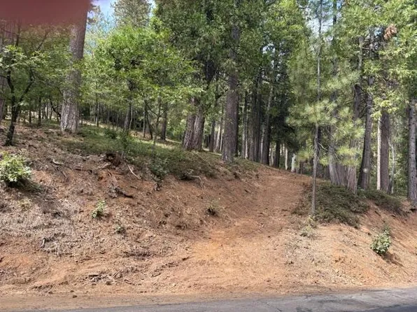 2678 Country Club Dr, Arnold, CA 95223