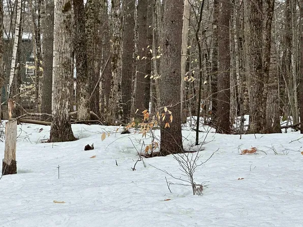 00 Ledgemere Estates Road #19, Moultonborough, NH 03254