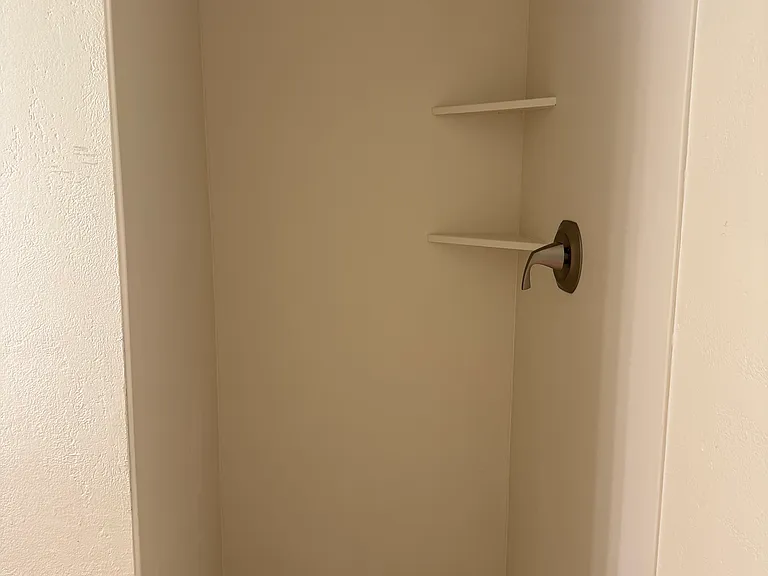 Master walk in shower