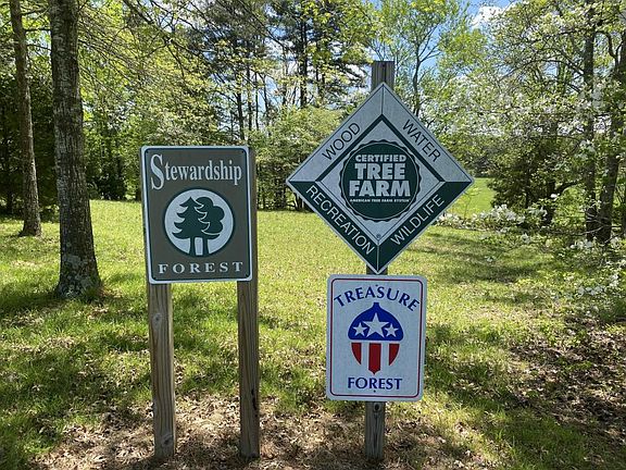 Tree Certifications for property