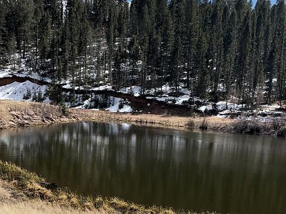 3rd image of 550 Shadow Lake Dr