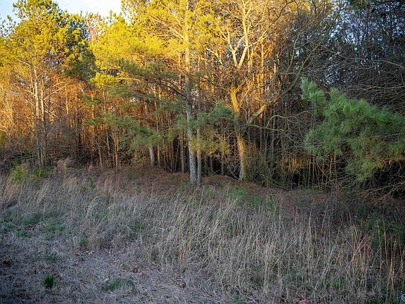 5th image of 1191 Allen Rd
