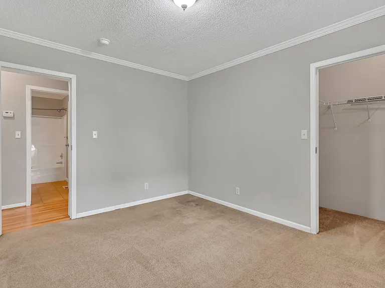 1386 Buck Mountain Rd — Photo 22