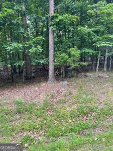 133 Pawnee St, Waleska, GA, 30183