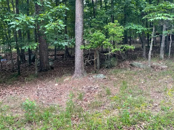 133 Pawnee St, Waleska, GA 30183