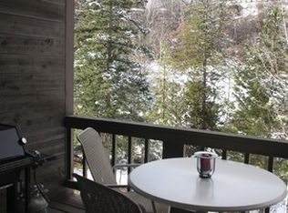 2607 Burgess Creek Rd UNIT 106, Steamboat Springs, CO 80487