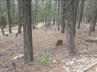 66 Lodge Spring Rd, Cloudcroft, NM 88317