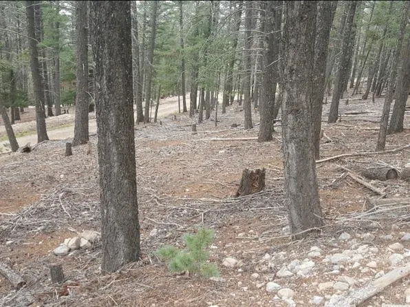 66 Lodge Spring Rd, Cloudcroft, NM 88317