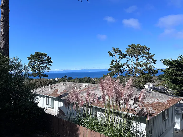 824 Alice St #B — Photo 5
