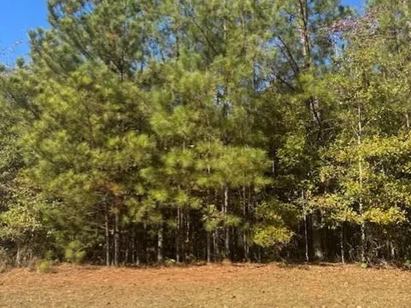 413 Highland Park Loop, Pine Mountain, GA 31822