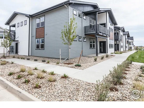 2120 Falling Leaf Dr 3, Windsor, CO 80550