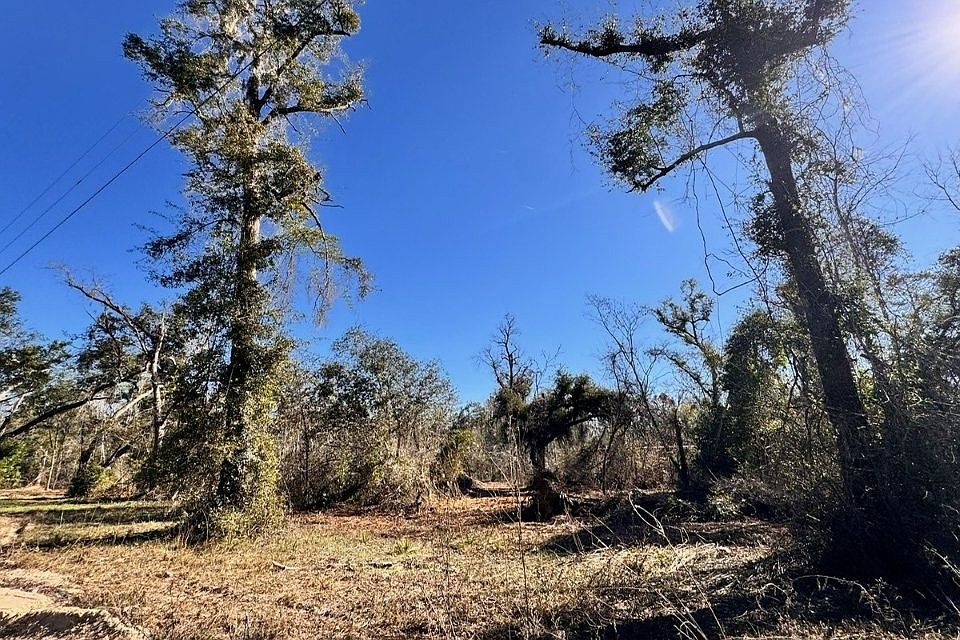 1st image of 0 NE Withlacoochee Ln
