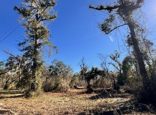 0 NE Withlacoochee Ln, Lee, FL 32059