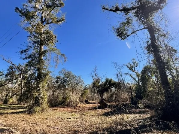 0 NE Withlacoochee Ln, Lee, FL 32059