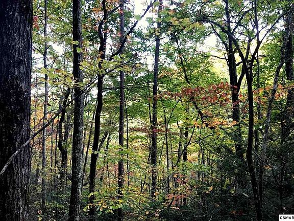 4th image of 1112 Pine Crest Ln Lot 11&12