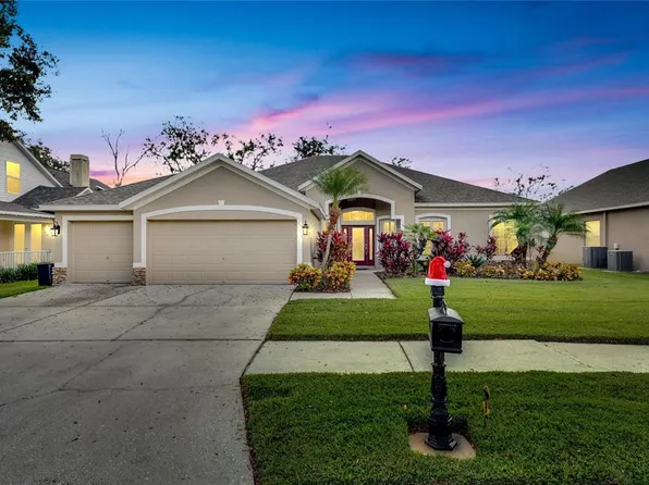 2503 Centennial Falcon Dr, Valrico, FL 33596