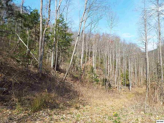 4th image of 7903 Ground Hog Rd
