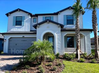 28679 Bel Verde Ct, Wesley Chapel, FL 33543