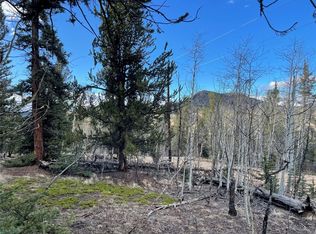 83 Tumbler Way, Jefferson, CO 80456