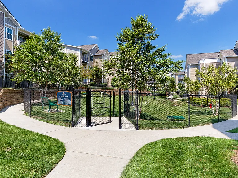 Bark park