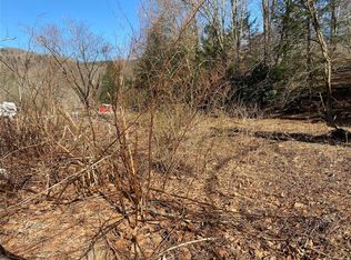 193 Island Rd, Downsville, NY 13755