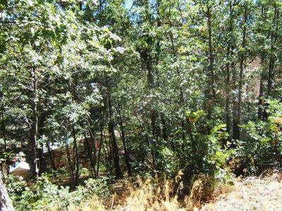 0 Scola Ln, Arrowbear, CA, 92314