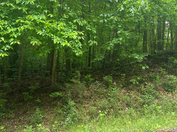 9 Hillshore Ct, Lavonia, GA 30553