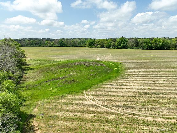 3rd image of 85 Omussee Rd