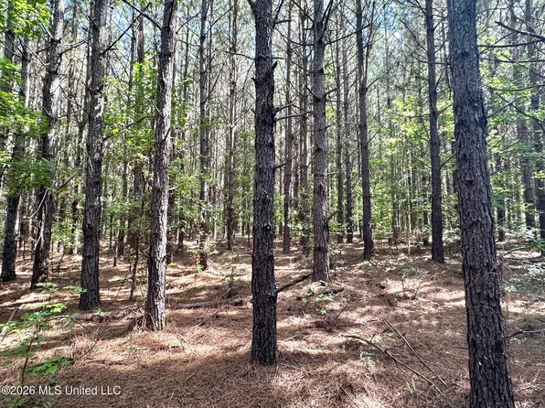 1 Dry Creek Rd, Magee, MS 39111