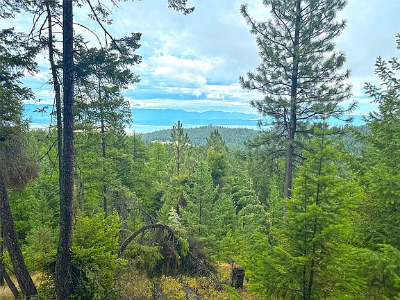 4th image of Nhn Tract Boon Rd #7