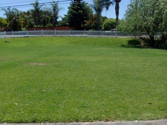 Common Grassy Area