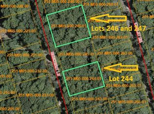 Beechnut Ln, Wolverine, MI 49799