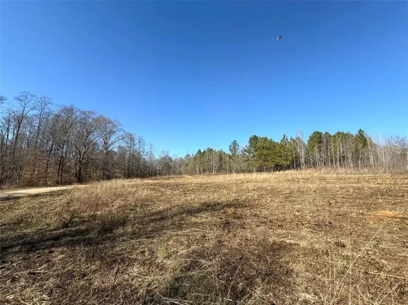 0 Ten Oaks Rd, Buchanan, GA 30113