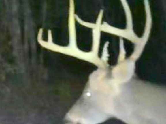 4th image of 0 Love Chapel Cemetery Rd