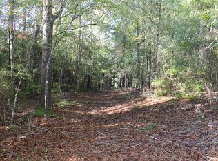 CR4 Evergreen 18 Acres, Evergreen, AL 36401