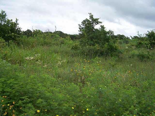 1st image of 7 E Barbara Dr Lot 7