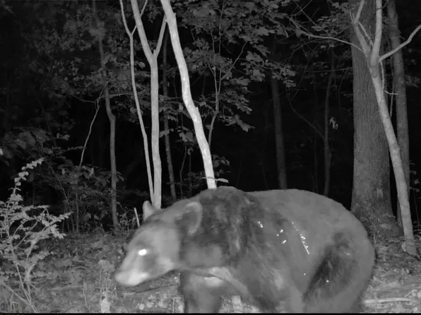 13608 Sugar Mountain Rd, West Fork, AR 72774